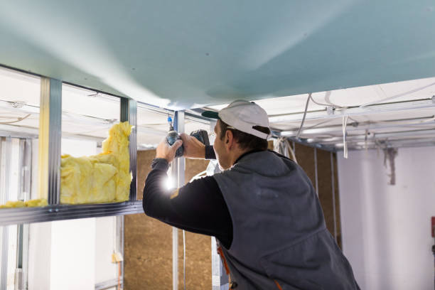 Best Eco-Friendly or Green Insulation Solutions  in Rocky River, OH