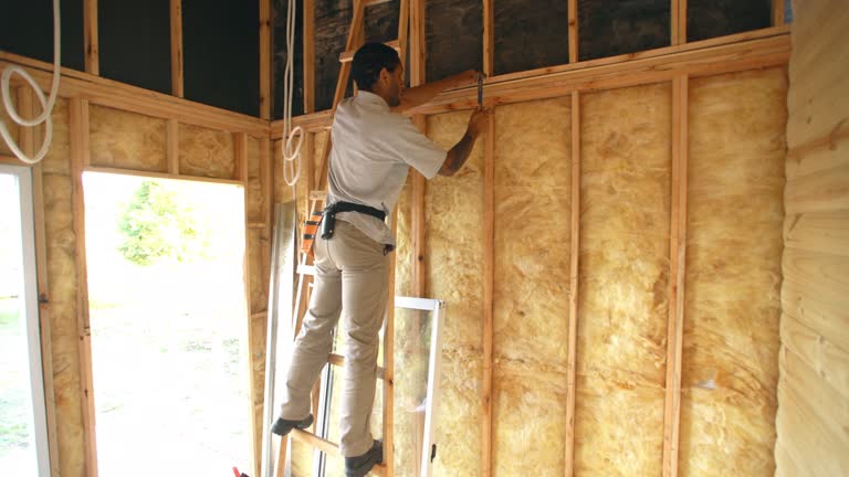 Best Spray Foam Insulation  in Rocky River, OH