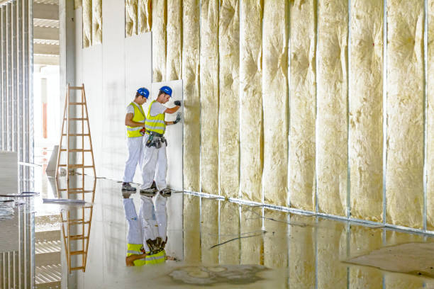 Best Wall Insulation Installation  in Rocky River, OH